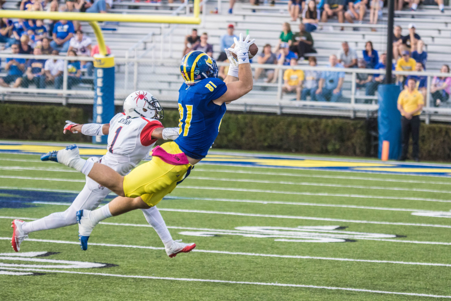 Blue Hens